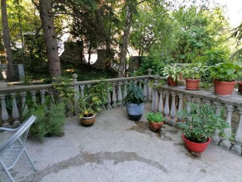Apartamento Vila Sofija Art