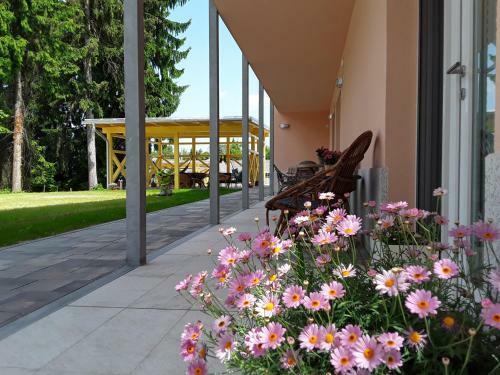 Hostal Accommodation Baron
