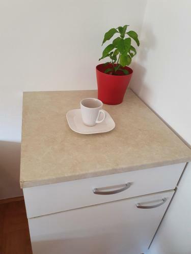 Hostal Villa Peruzzi