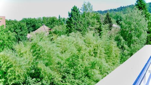 Apartamento Greenview Terrace Penthouse