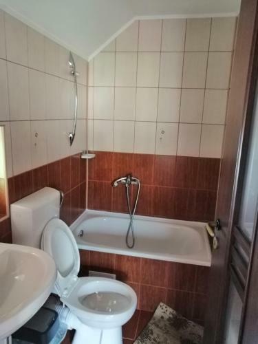 Hostal Ddm Montan Grup 2