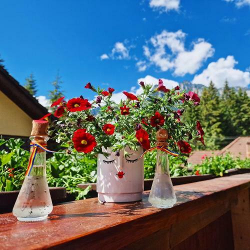 Apartamento Amor Tirol Bu?teni