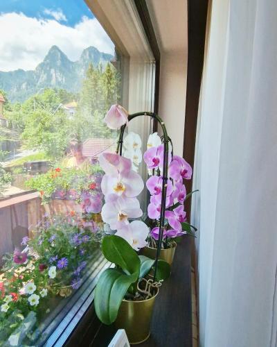 Apartamento Amor Tirol Bu?teni