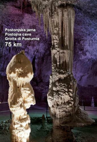 Apartma Veverin