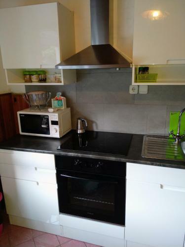 Asha Apartment