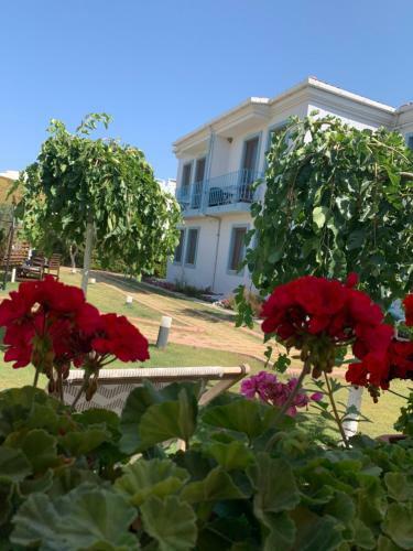 Hotel Calisto17 Otel