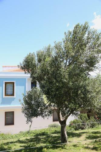 Hotel Lefkofris Bozcaada