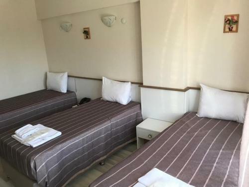 Hotel Alesya Otel
