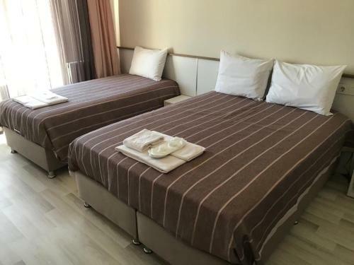 Hotel Alesya Otel