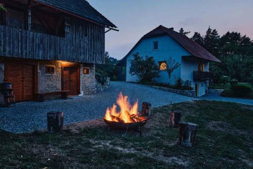 Holiday Home In Mokronog - Kranjska Krain 42894