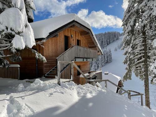 Golte - A2 Apartment - Ski In/out