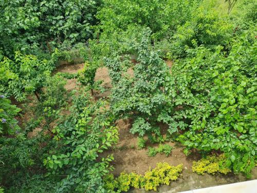 Apartamento Bursa 4