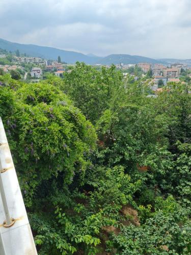 Apartamento Bursa 4