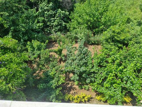 Apartamento Bursa 7