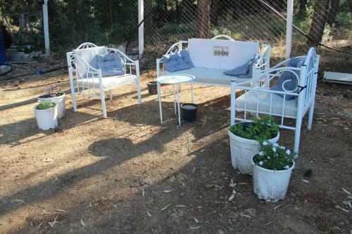 Bed & Breakfast Secluded Apart Surrounded By Nature In Kusadasi