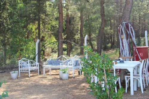Bed & Breakfast Secluded Apart Surrounded By Nature In Kusadasi