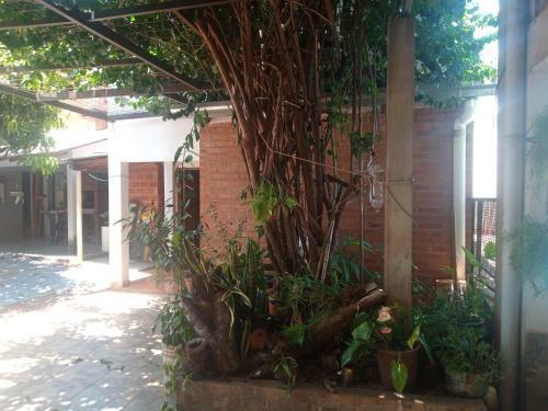 Apartamento Lo De Mirian