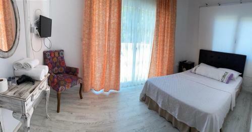 Fullmoon Room's Hotel