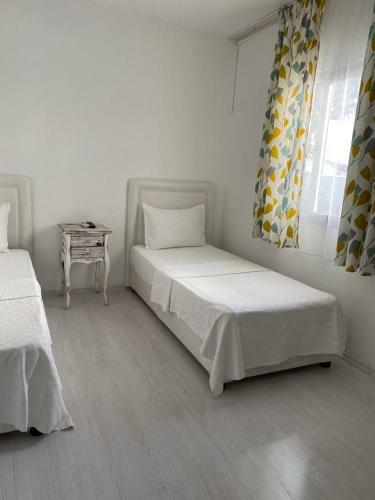Fullmoon Room's Hotel