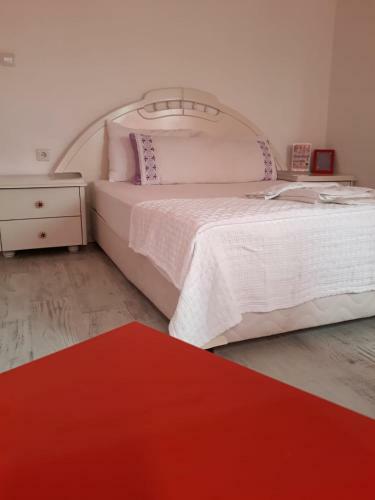 Fullmoon Room's Hotel