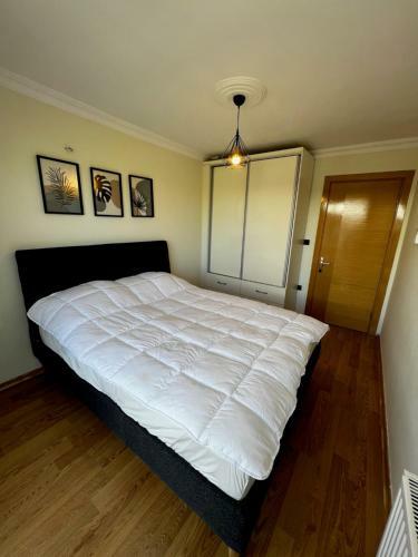 Villa Peri