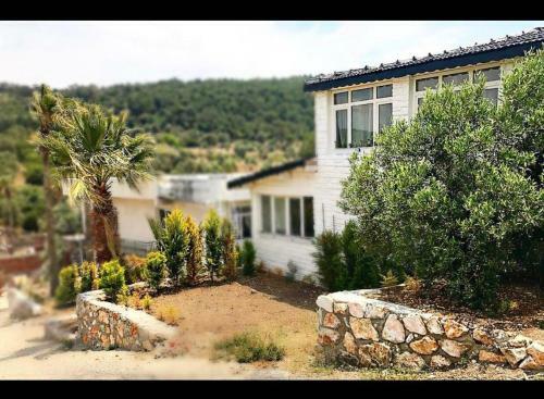 Villa Millions