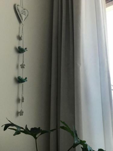 Apartamento Departamento C�ntrico
