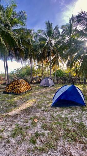 Camping Venturi