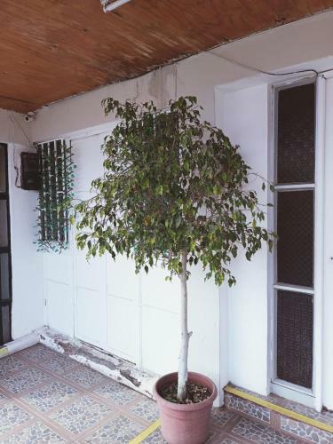 Hostal Sol Atacama -caldera