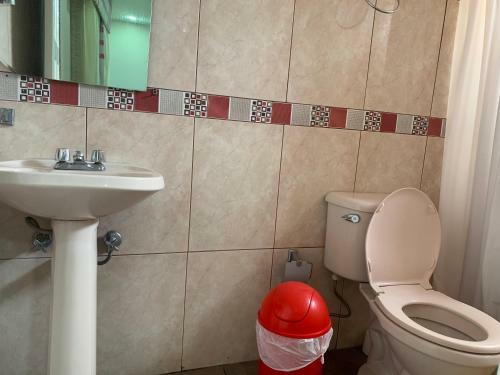 Confort Home C Apartamento Girasol