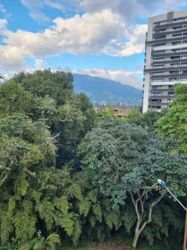 Apartamento Pent House La Castellana