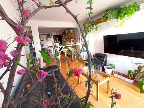 Casa Eden C