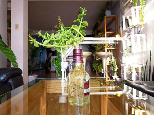 Casa Eden C