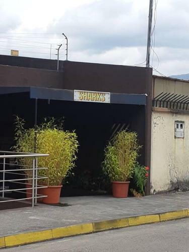 Apartamento Hermosa Suite En Edificio Dal� Sector La Cuadra