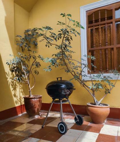 Hostal El Capul�