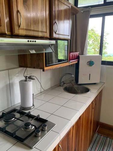 Tiny Home Above The Tree Tops