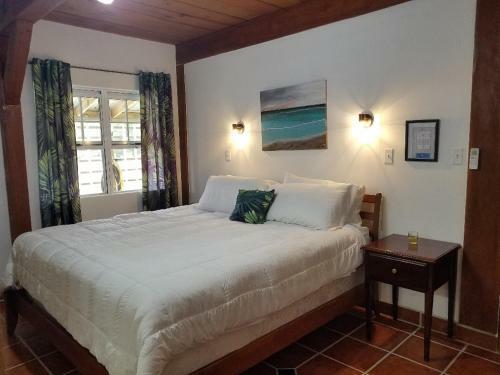Bed & Breakfast The Bnb On Triggerfish Close To The Airport