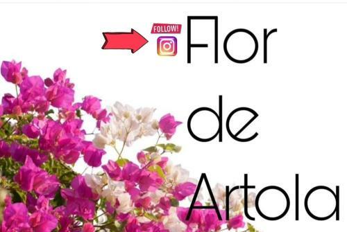 Apartamento Flor De Artola