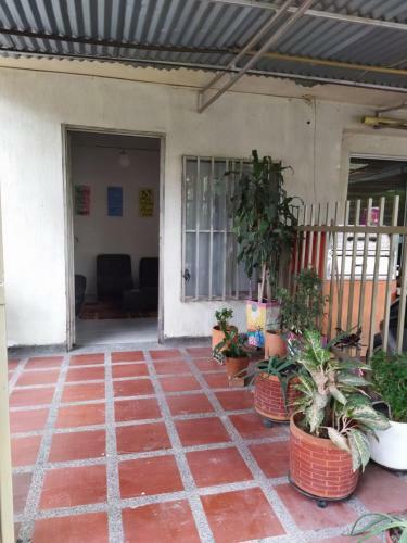 Apartaestudio Central. Somos Pet Friendly