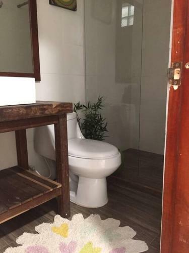 Apartamento Apto Duplex Tipo Loft Hermoso Y Perfecto Para Hospedarme