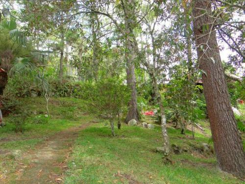 Apartamento El Capricho- Colonial Styled House