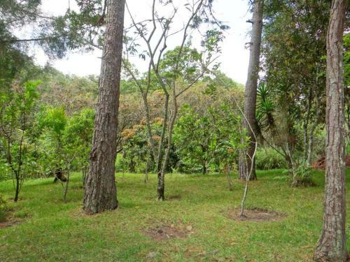 Apartamento El Capricho- Colonial Styled House