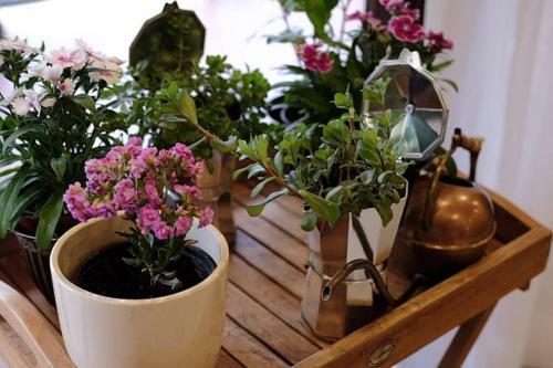 Apartamento Self Catering Studio By Inn The Coffeepot