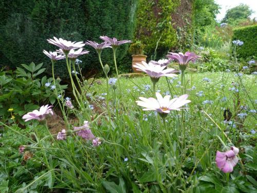 Bed & Breakfast Logis De Jerzual