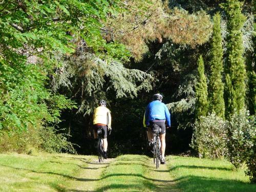 Bed & Breakfast Ch�teau De La Comtesse