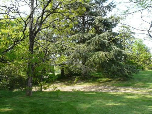 Bed & Breakfast Ch�teau De La Comtesse