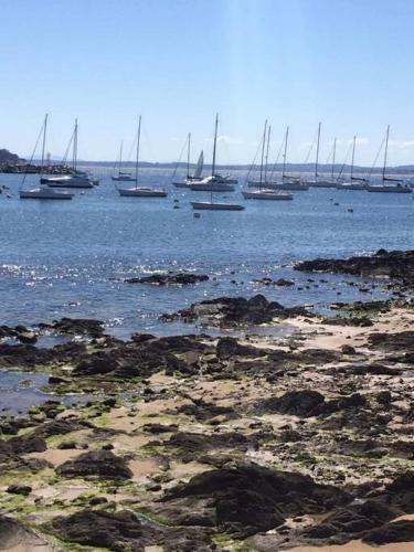 Apartamento Punta Del Este - En Corazon De La Peninsula