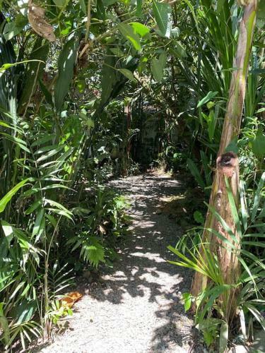 The Wild Side Jungalows: Casa Azul