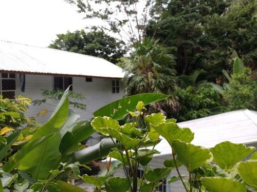 Apartamento Cozy Cabana1