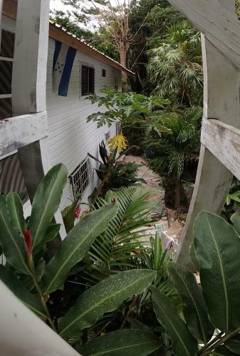 Apartamento Cozy Cabana1